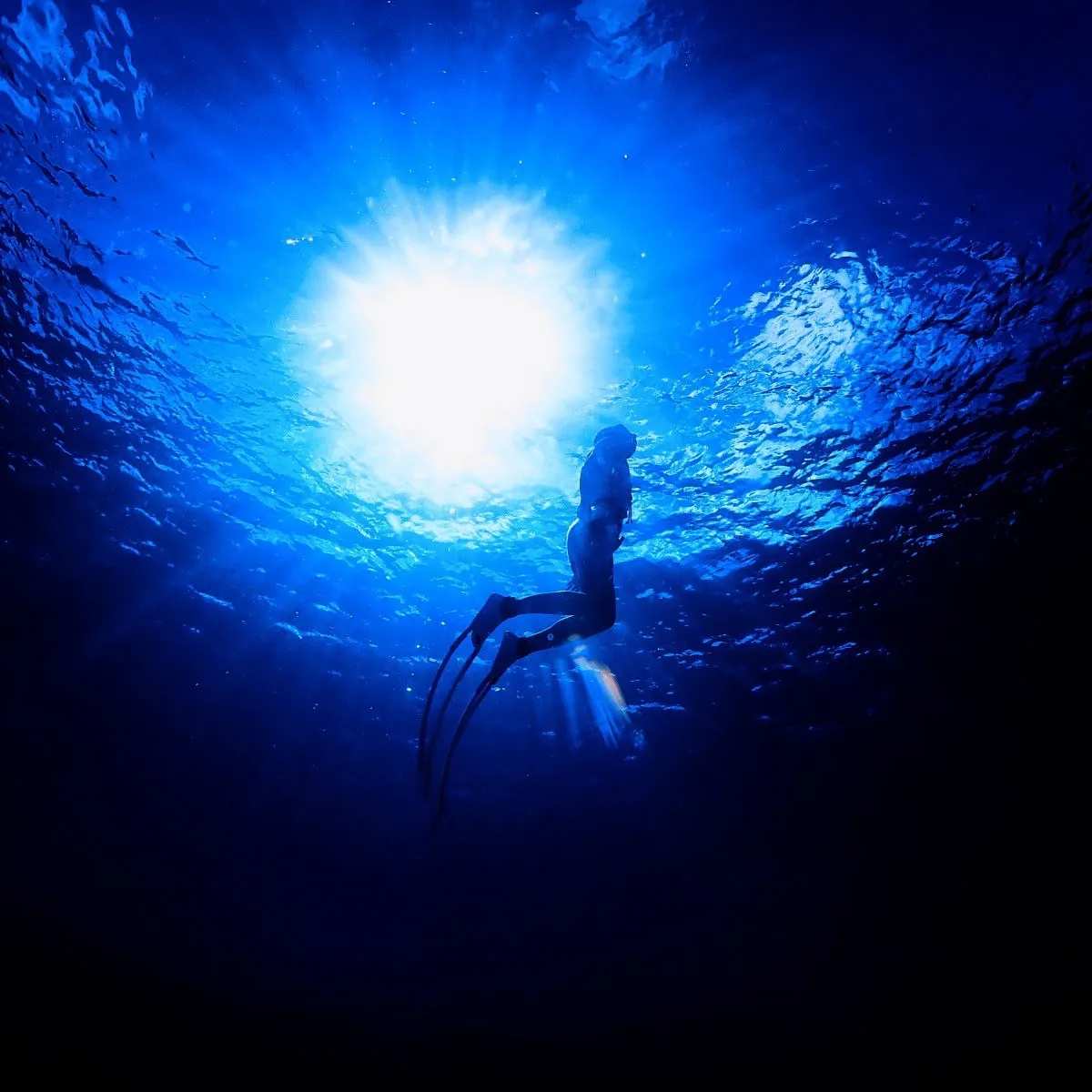 2025/9/6-7🏊‍♀️沖縄フリーダイビング🐠土曜日の到...