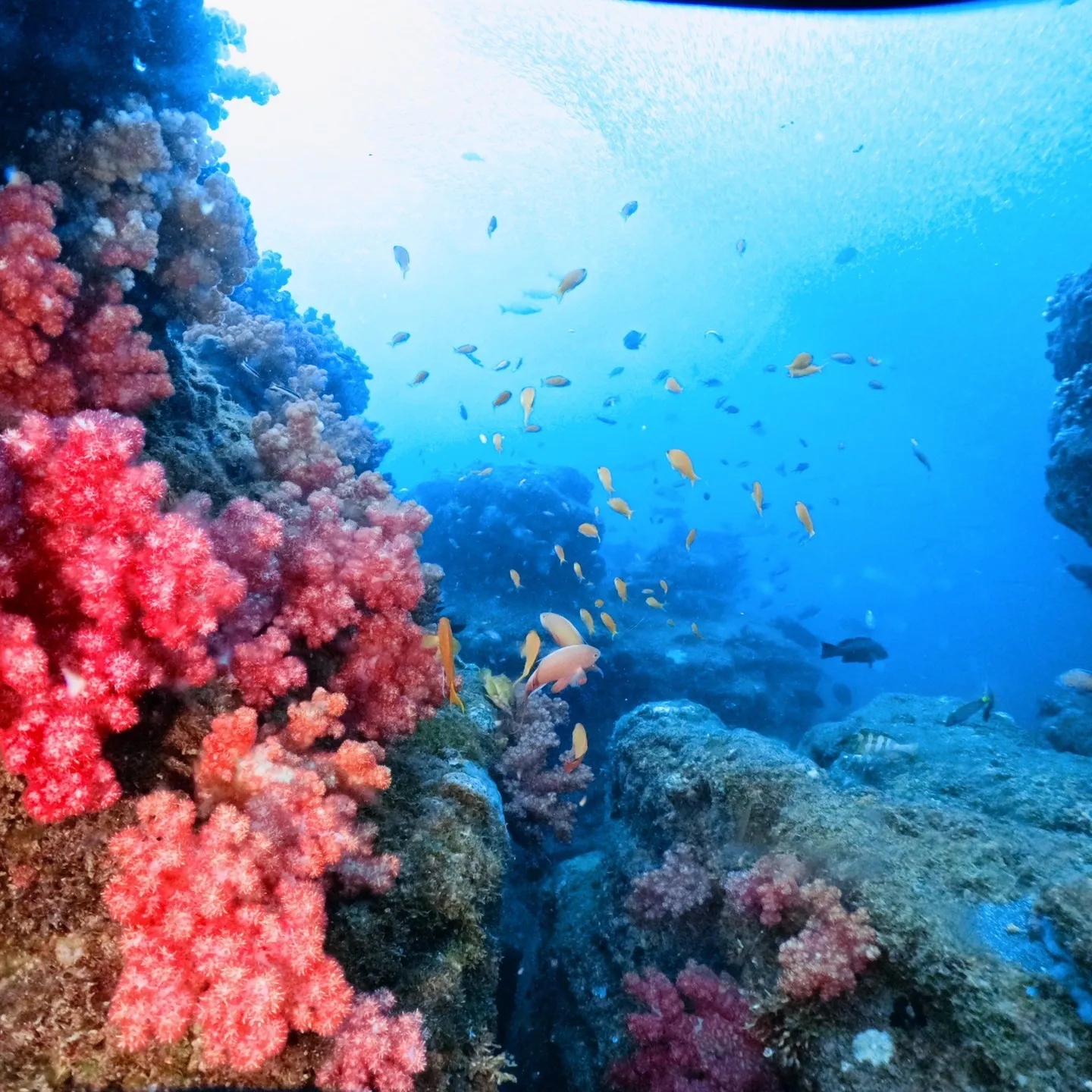 2025/9/11は平日田辺ボートツアー