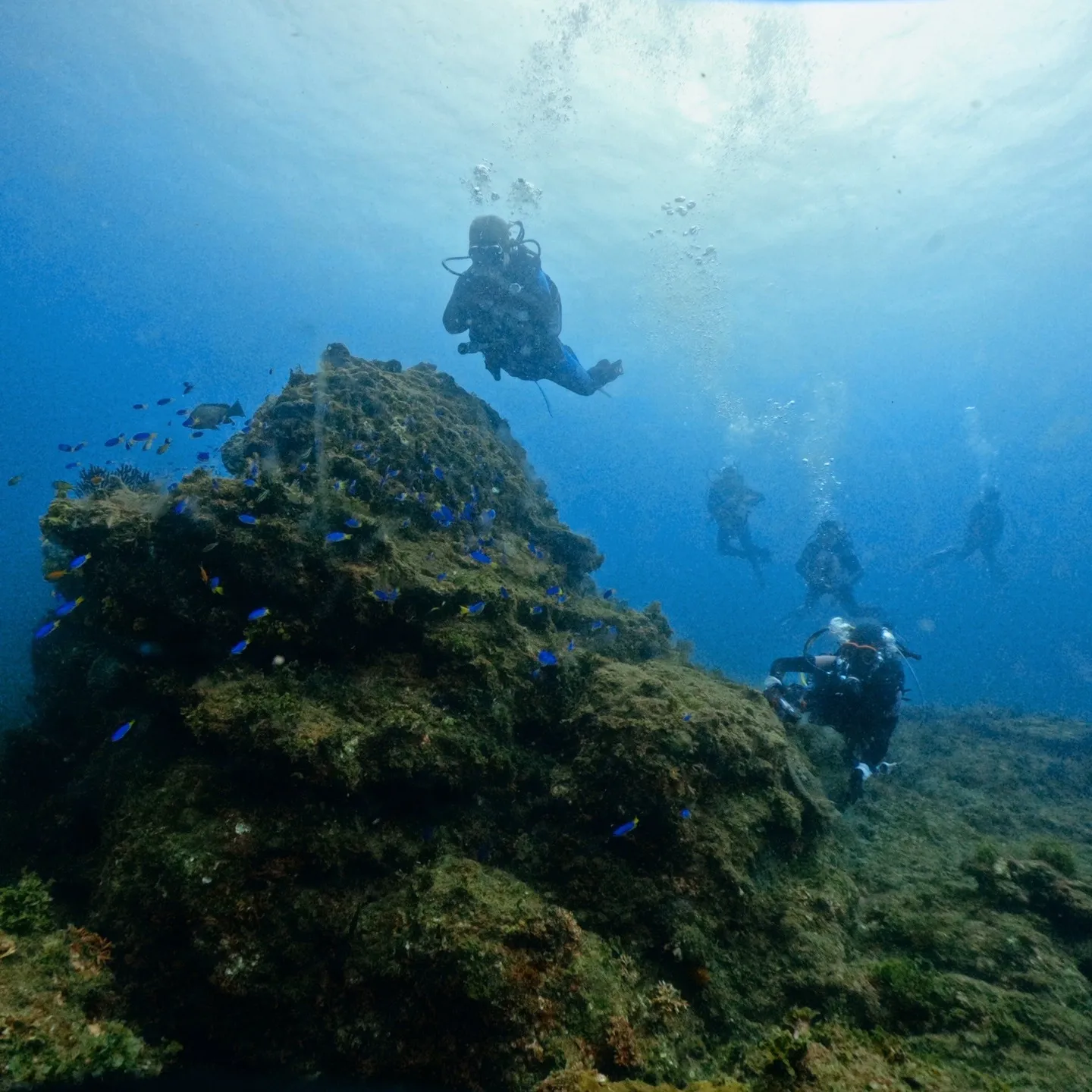 2025/9/13は田辺ボートツアー