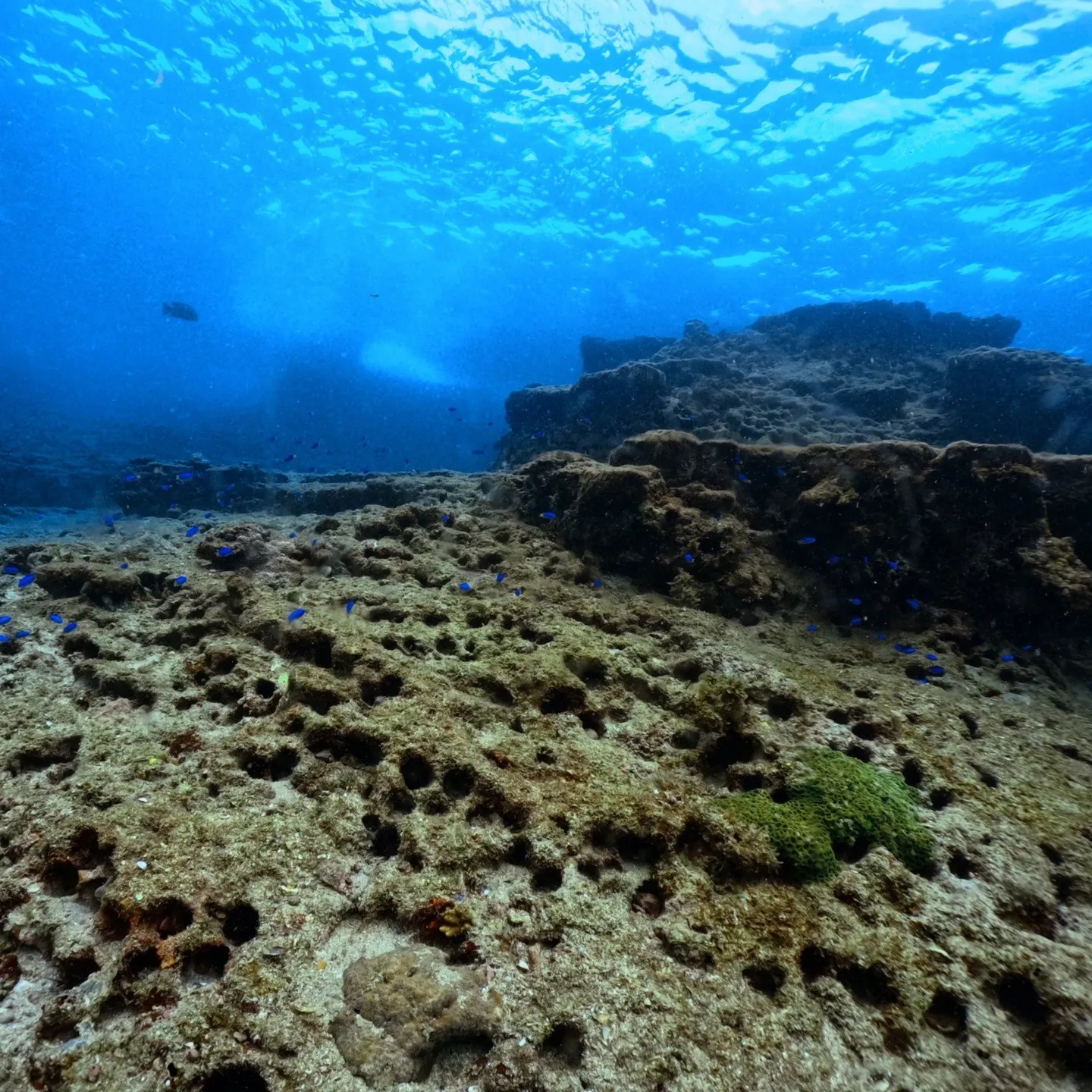 2025/9/13は田辺ボートツアー
