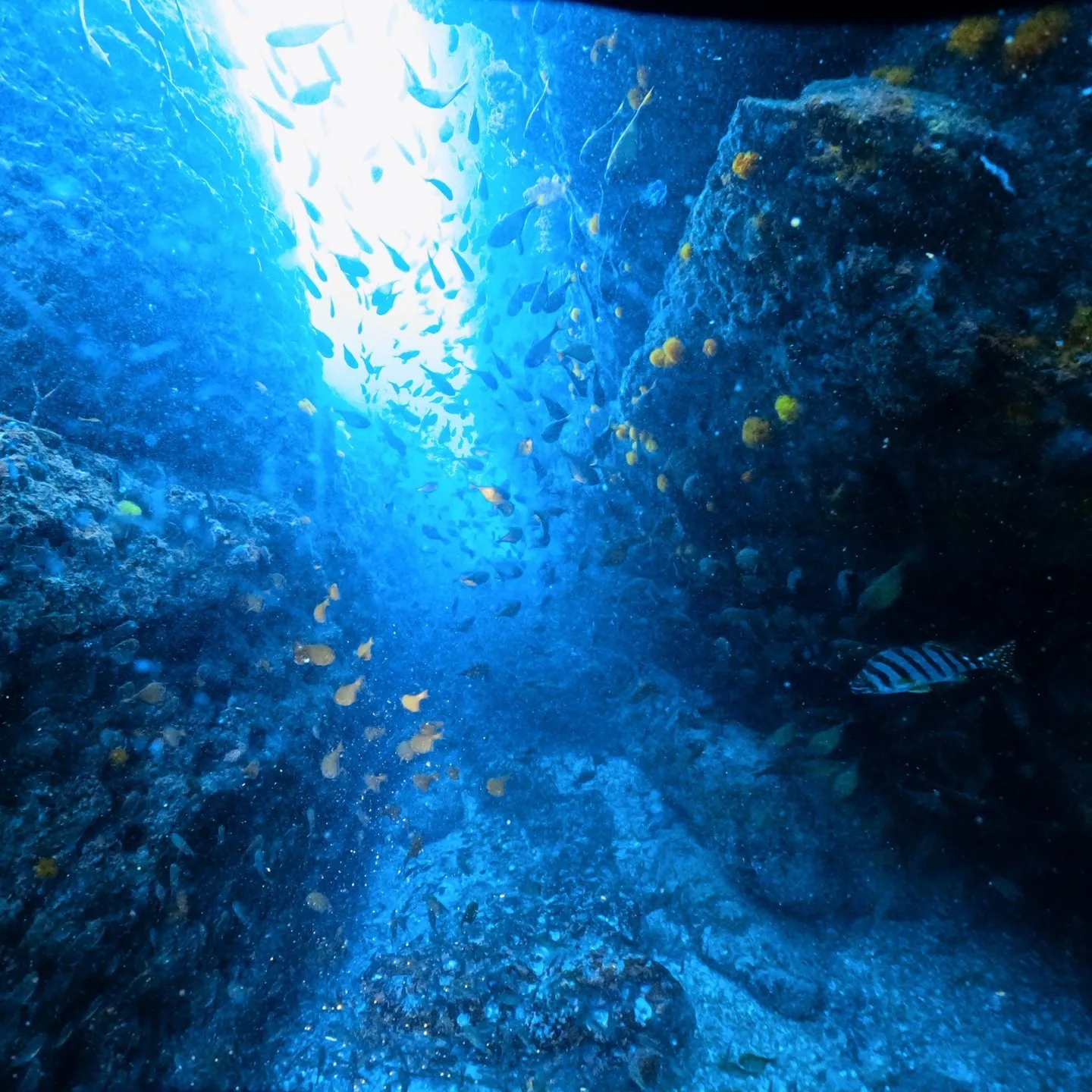 2025/9/13は田辺ボートツアー