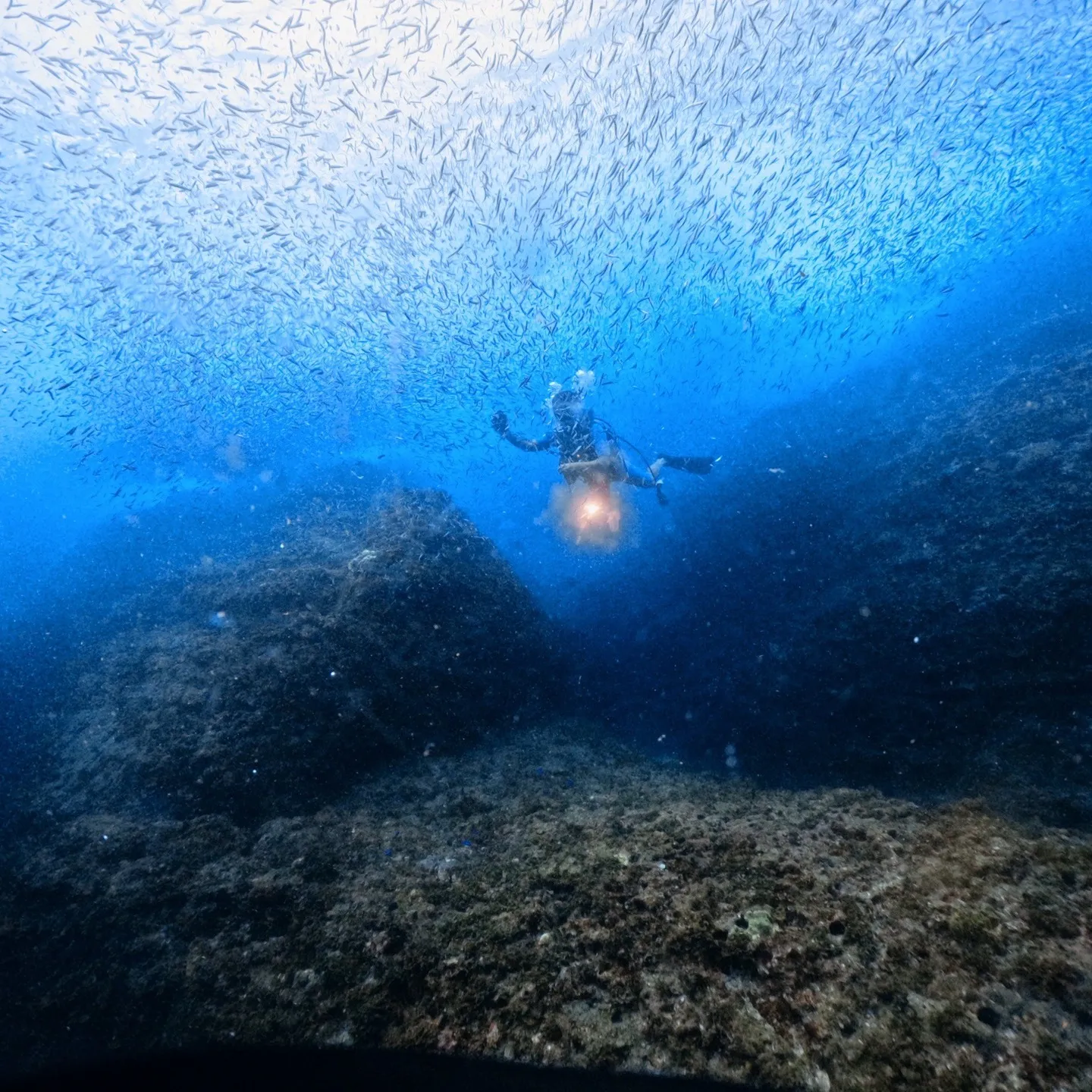 2025/9/13は田辺ボートツアー