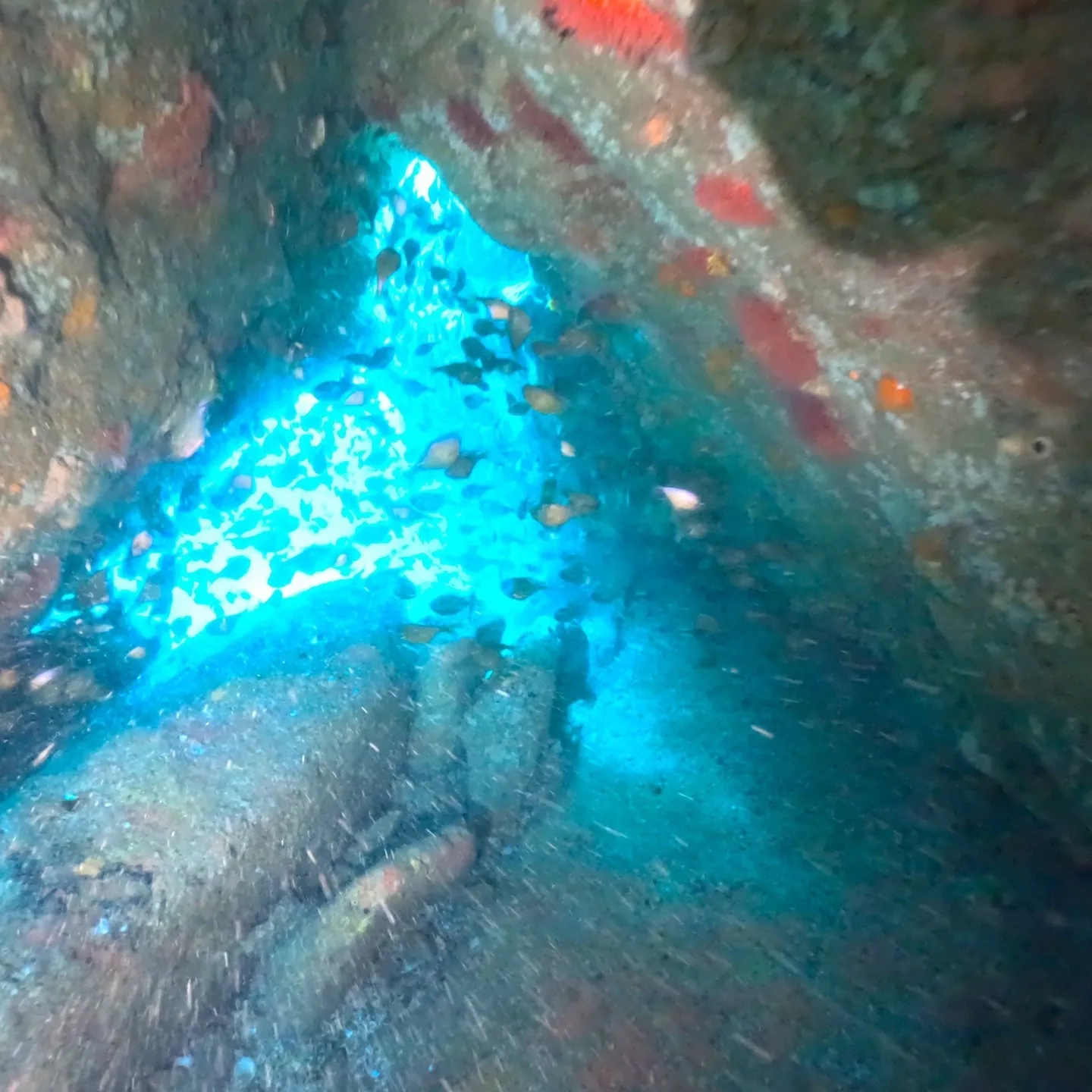 2025/9/13は田辺ボートツアー