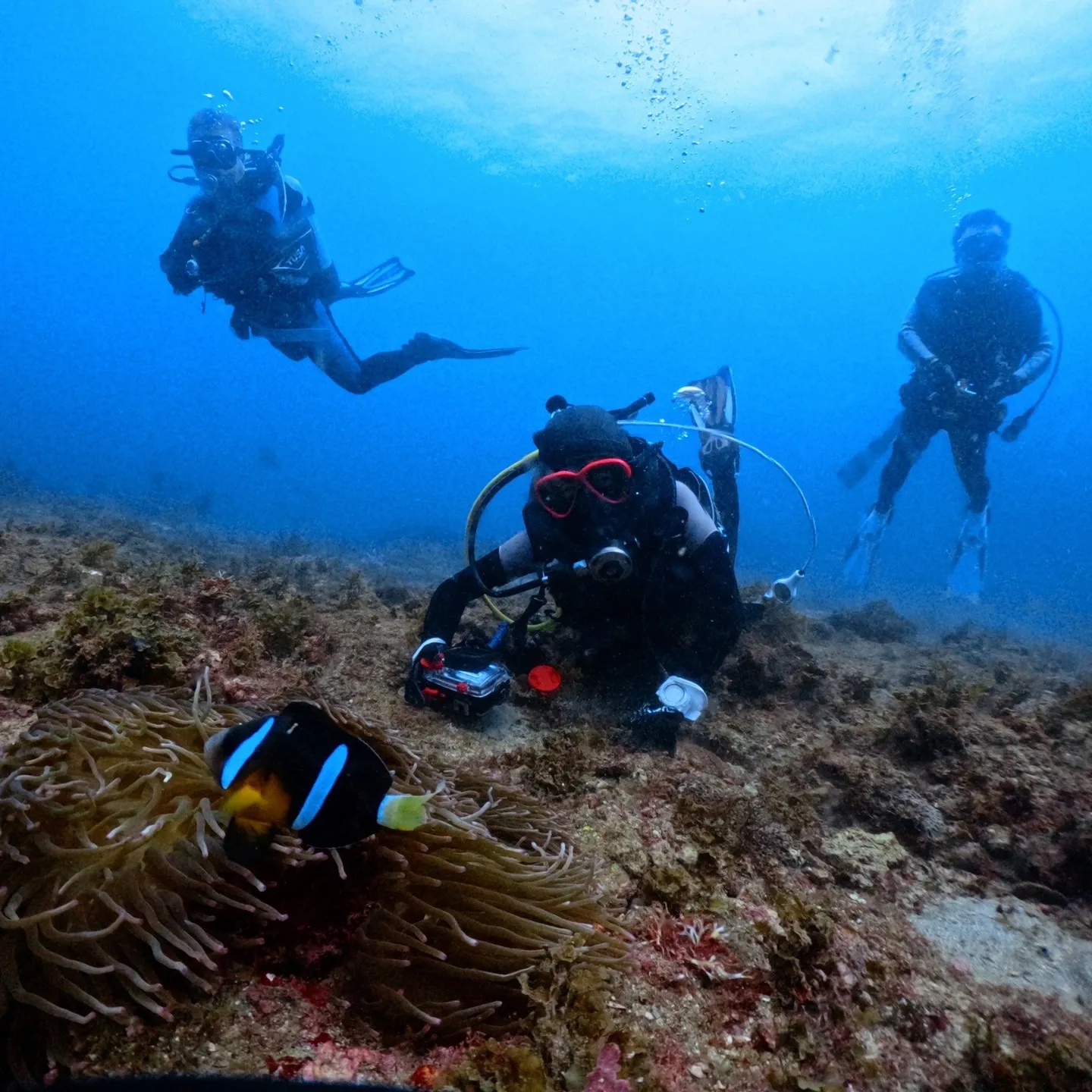 2025/9/13は田辺ボートツアー