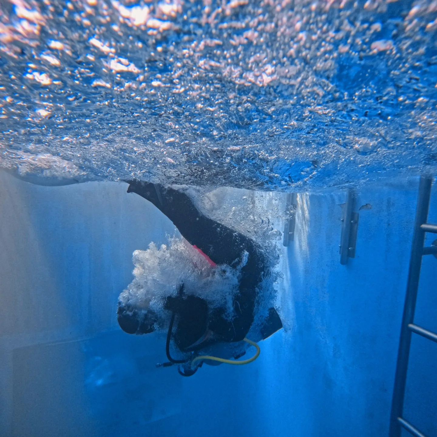 ダイビングスクールで免許取得にかかる費用や日数と安全対策を徹底解説