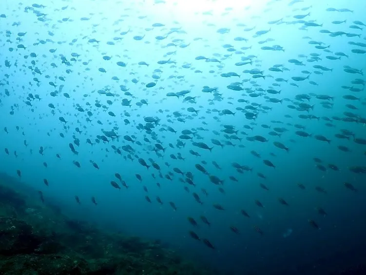 2025.09.14日和佐ツアー