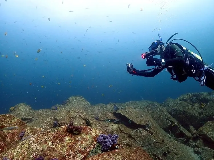 2025.09.14日和佐ツアー