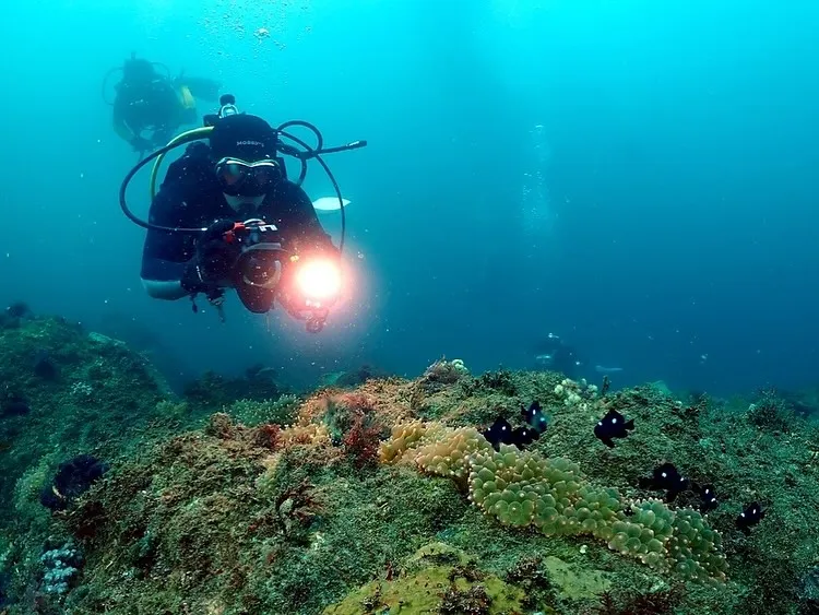 2025.09.14日和佐ツアー