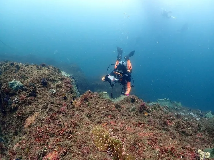 2025.09.14日和佐ツアー