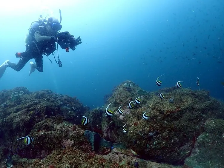 2025.09.14日和佐ツアー