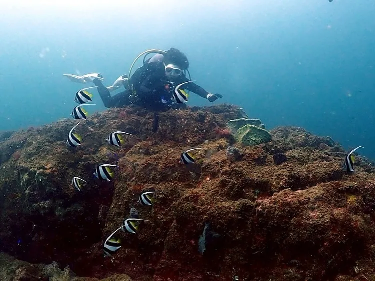 2025.09.14日和佐ツアー