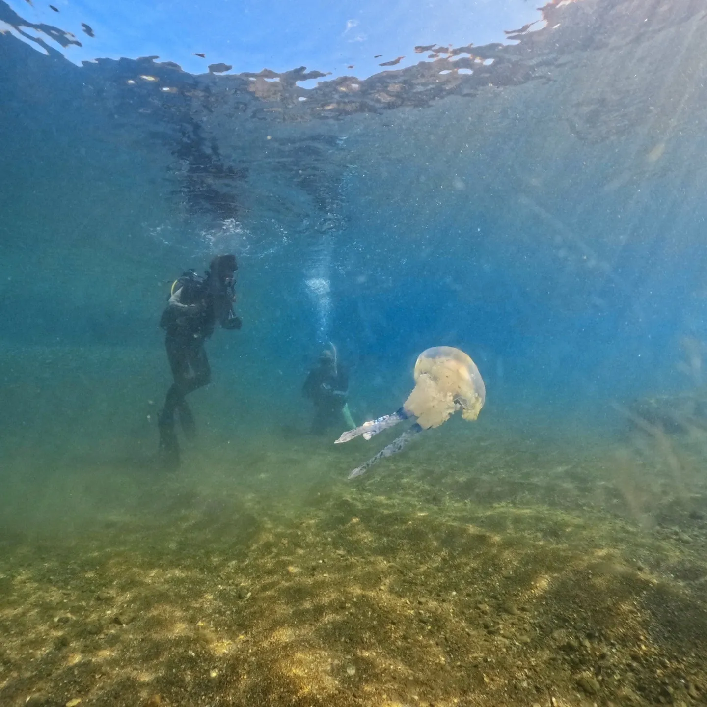 2025/9/26は田辺日帰りオープンウォーター講習😊秋の天...