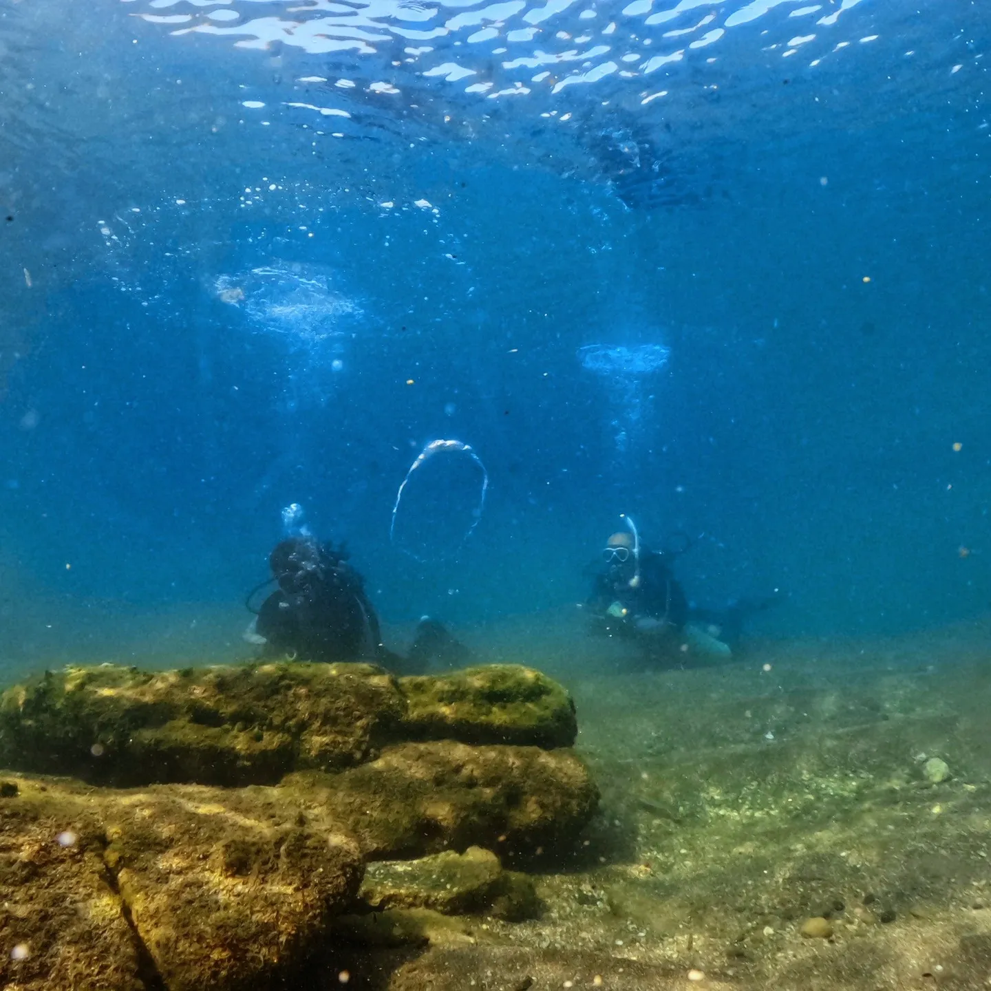 2025/9/26は田辺日帰りオープンウォーター講習😊秋の天...