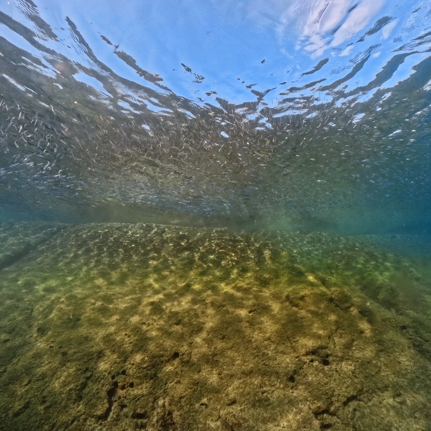 2025/9/26は田辺日帰りオープンウォーター講習😊秋の天...