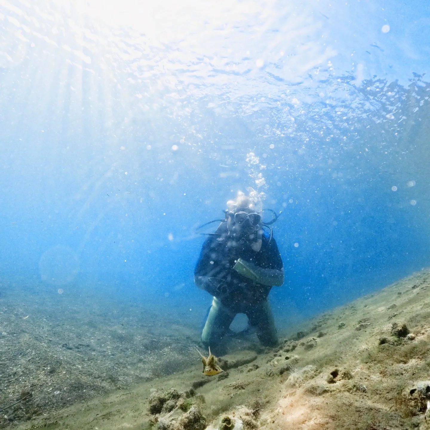 2025/9/26は田辺日帰りオープンウォーター講習😊秋の天...