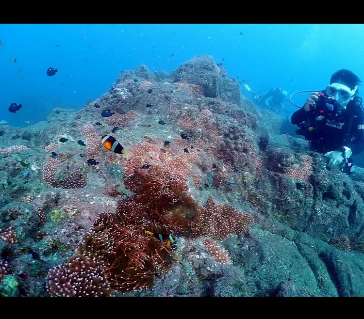 2025.09.26田辺レスキューコース
