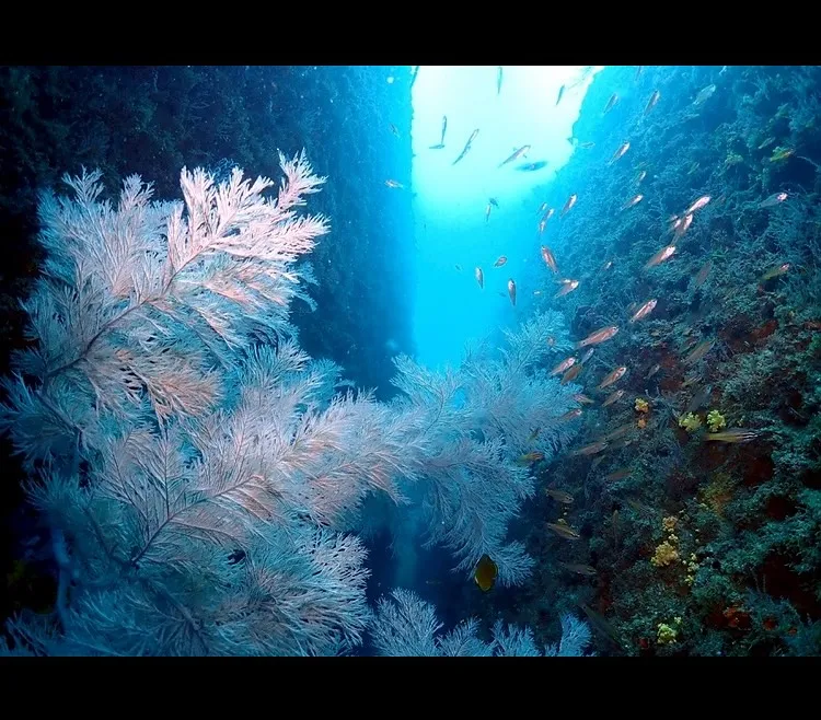 2025.09.26田辺レスキューコース