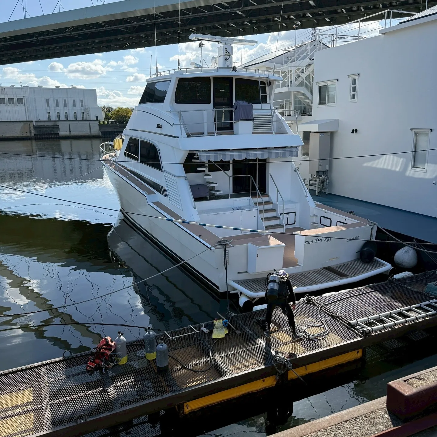 今週は月曜日から金曜日までダイビング尽くしでした😊田辺天神崎...