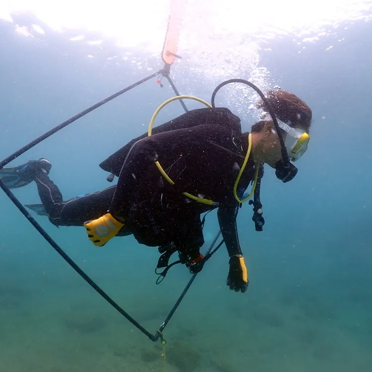 今週は月曜日から金曜日までダイビング尽くしでした😊田辺天神崎...