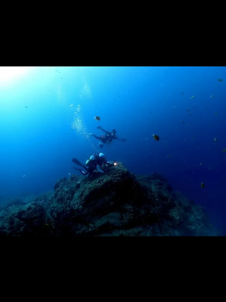 2025.10/4〜5田辺ナイト&ボート