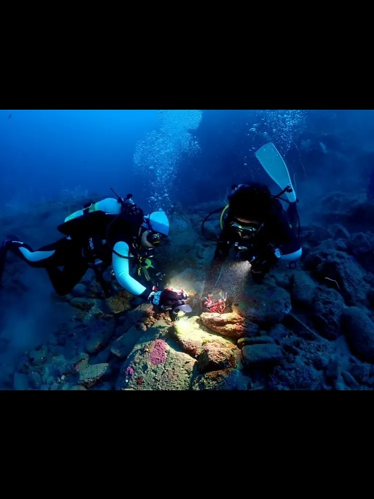 2025.10/4〜5田辺ナイト&ボート