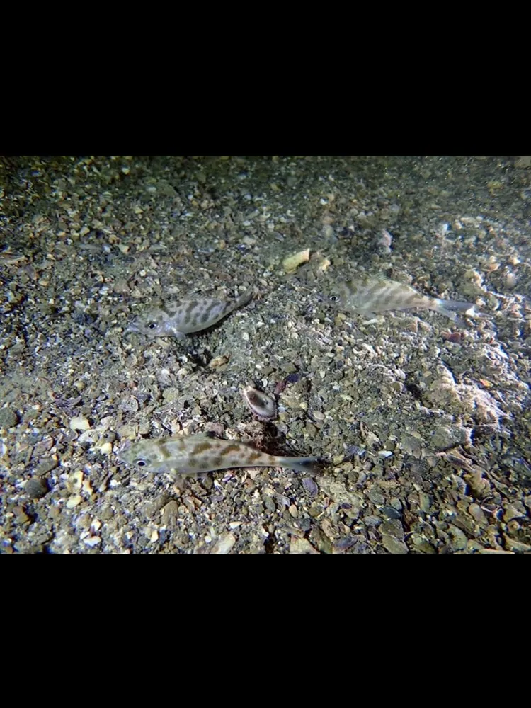 2025.10/4〜5田辺ナイト&ボート