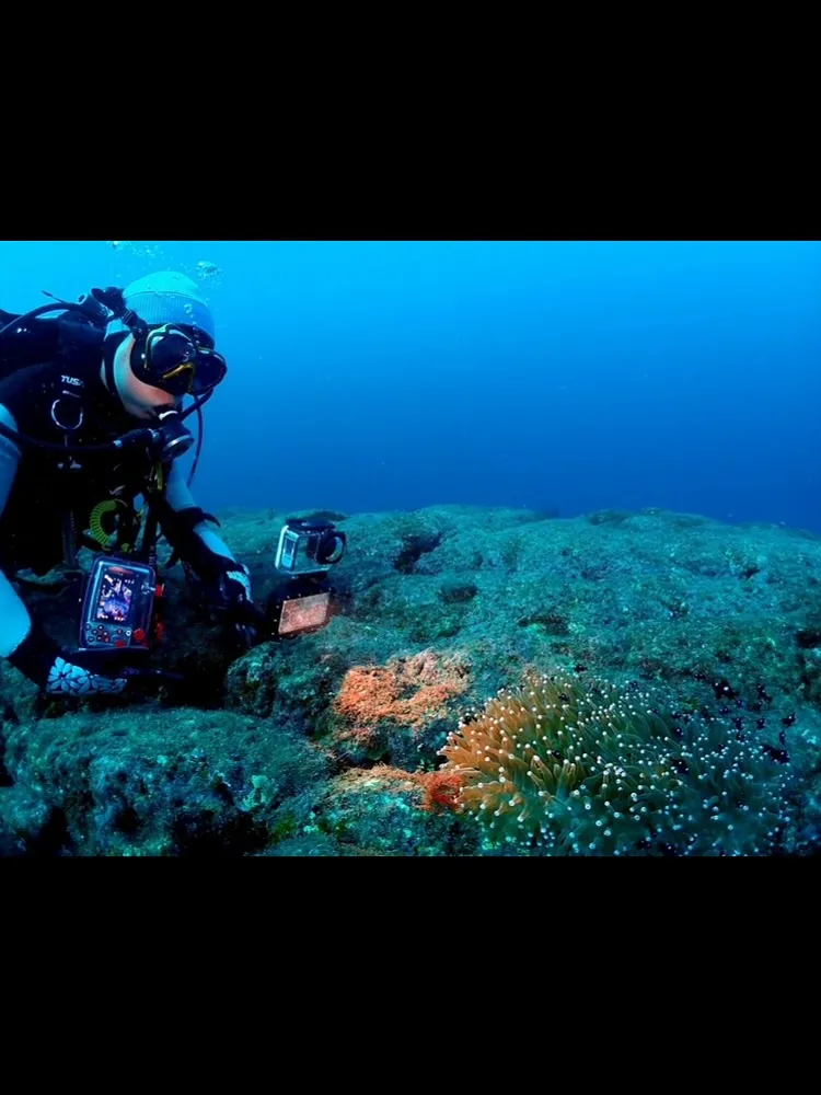 2025.10/4〜5田辺ナイト&ボート