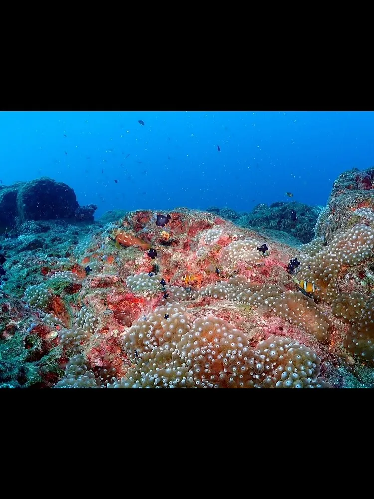 2025.10/4〜5田辺ナイト&ボート