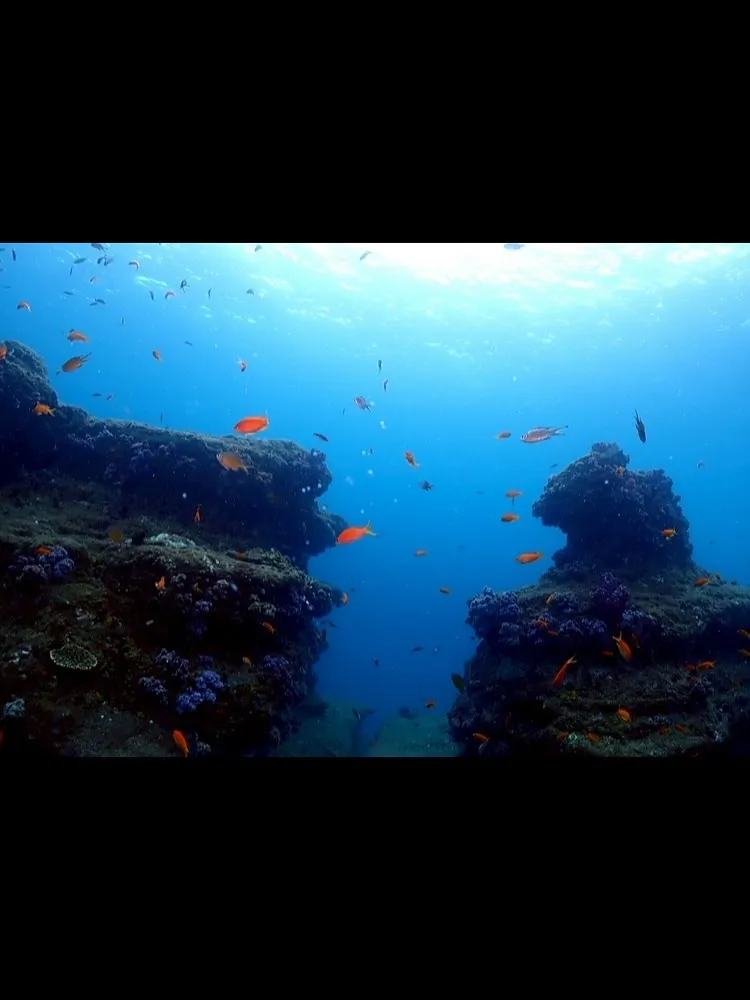 2025.10/4〜5田辺ナイト&ボート