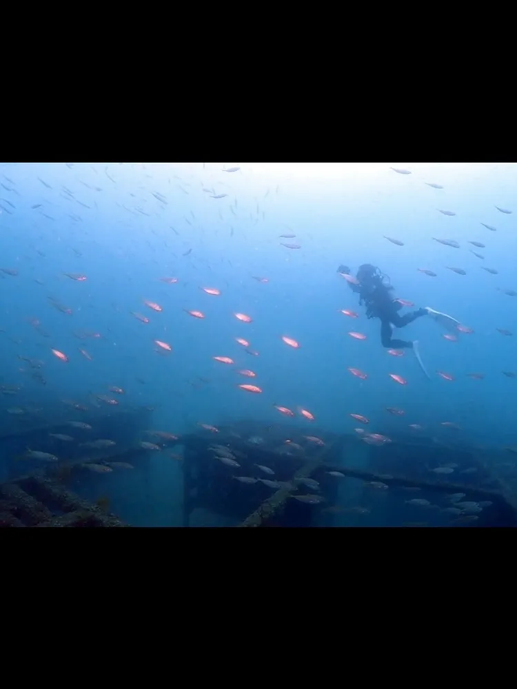 2025.10/4〜5田辺ナイト&ボート