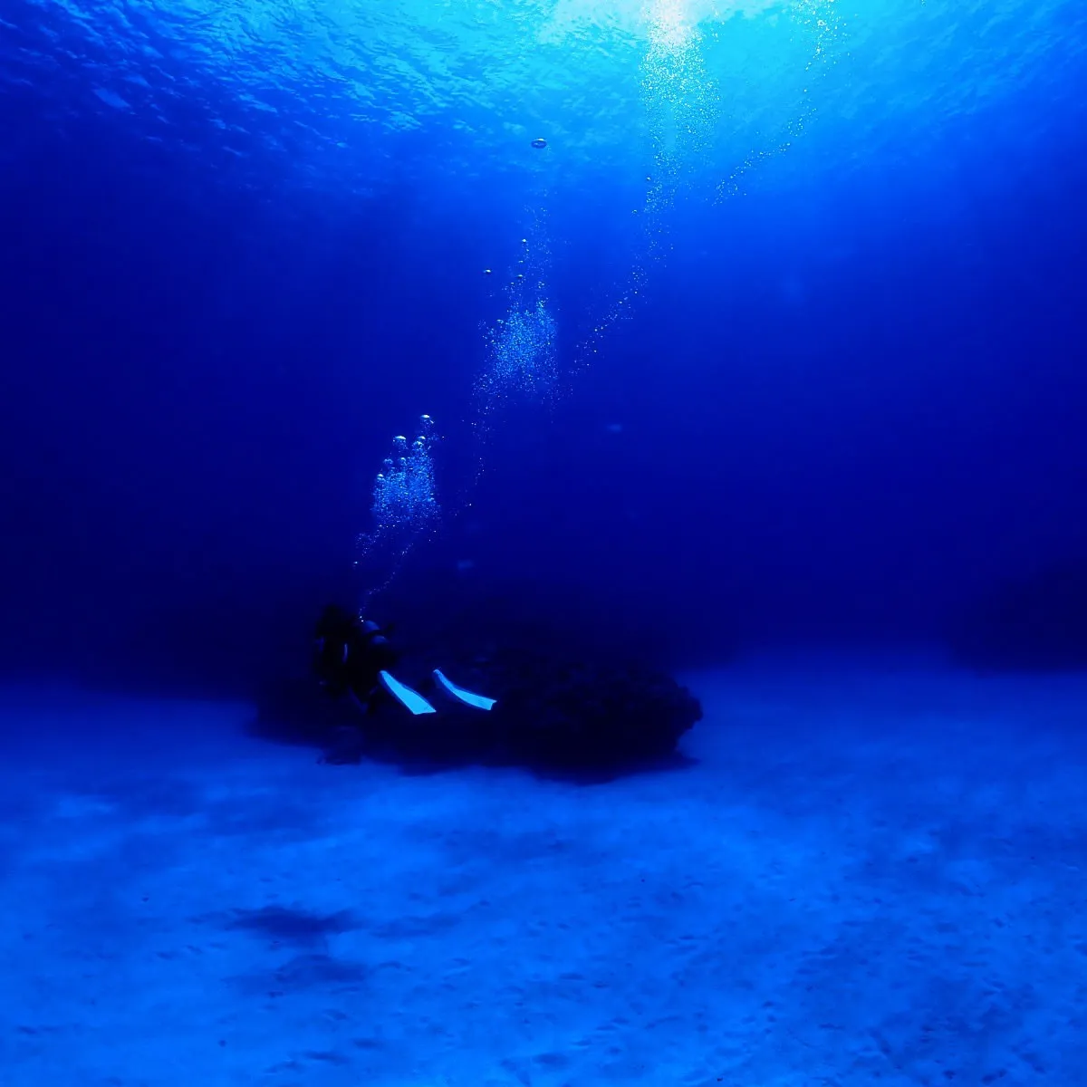 2025/10/12は🏊♀️沖縄渡嘉敷島3ダイブ&フリーダ...