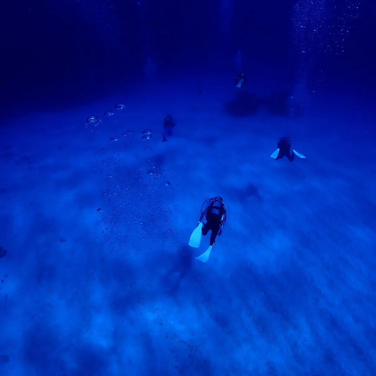 2025/10/12は🏊♀️沖縄渡嘉敷島3ダイブ&フリーダ...