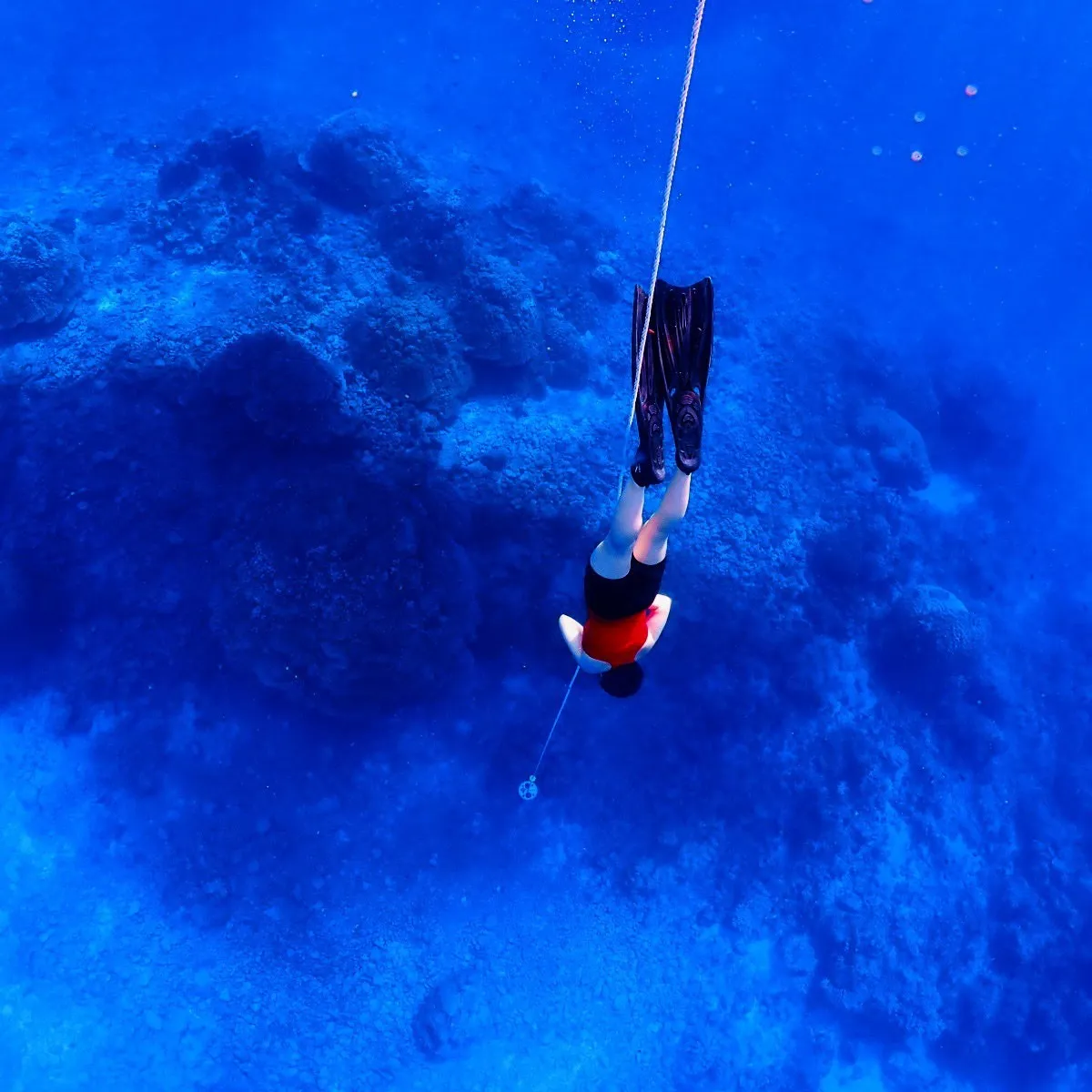 2025/10/12は🏊♀️沖縄渡嘉敷島3ダイブ&フリーダ...