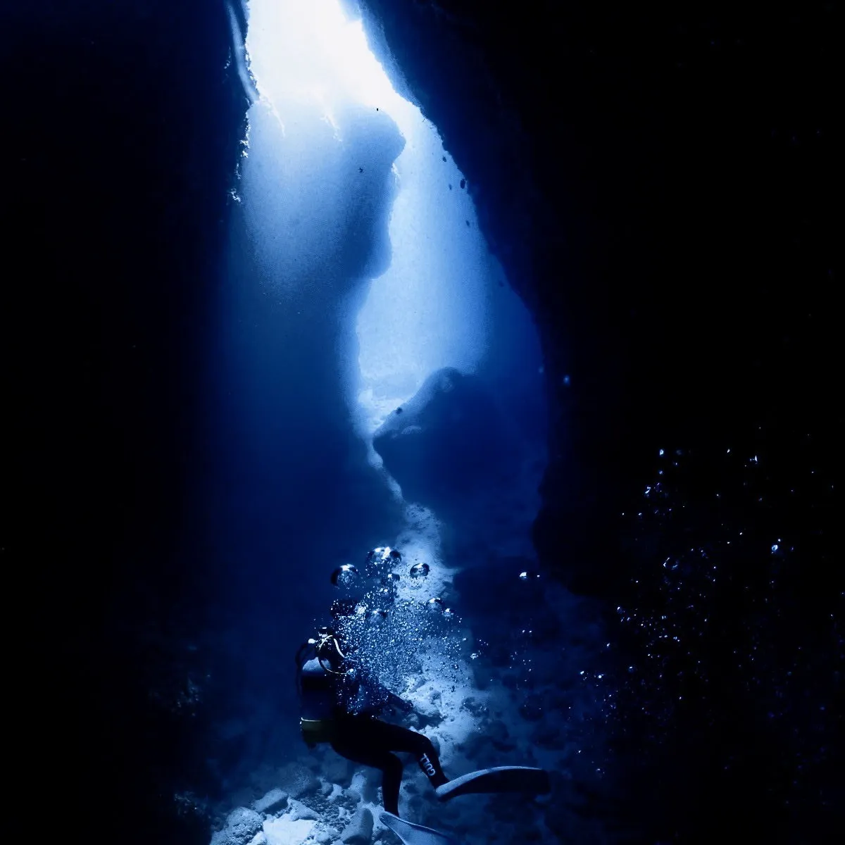 2025/10/12は🏊♀️沖縄渡嘉敷島3ダイブ&フリーダ...