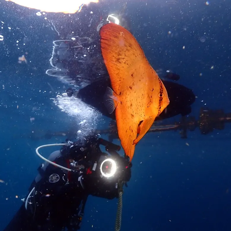 2025/10/16-17は🏊‍♀️静岡県井田＆大瀬崎ビーチ...