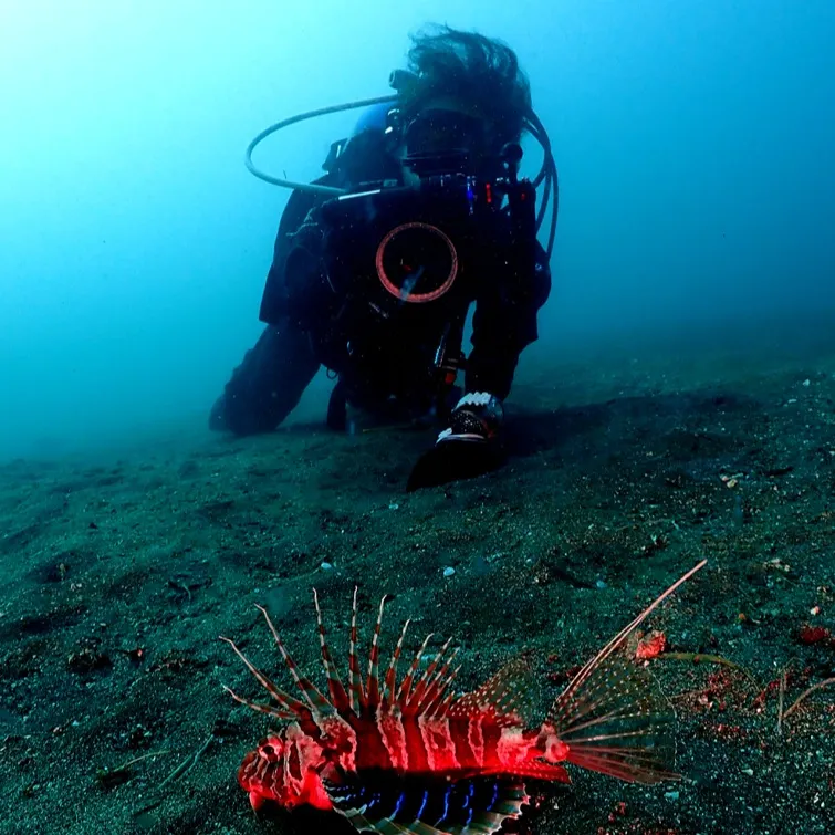 2025/10/16-17は🏊‍♀️静岡県井田＆大瀬崎ビーチ...