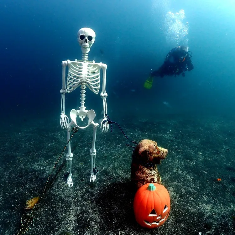 2025/10/16-17は🏊‍♀️静岡県井田＆大瀬崎ビーチ...