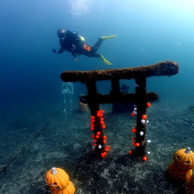 2025/10/16-17は🏊‍♀️静岡県井田＆大瀬崎ビーチ...