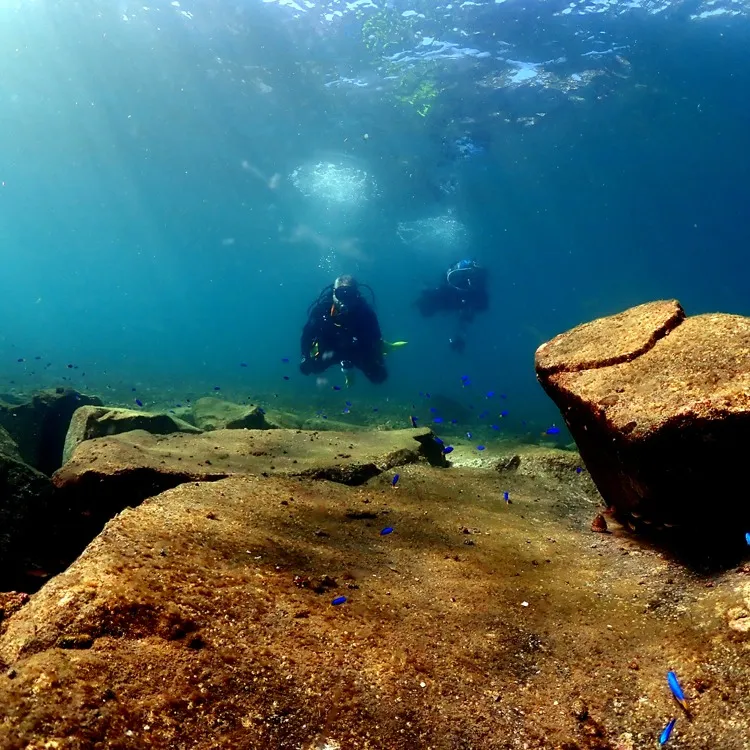 2025/10/16-17は🏊‍♀️静岡県井田＆大瀬崎ビーチ...