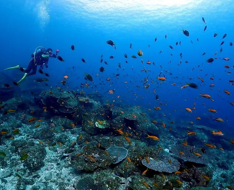 2025.10/17-19鵜来島ツアー