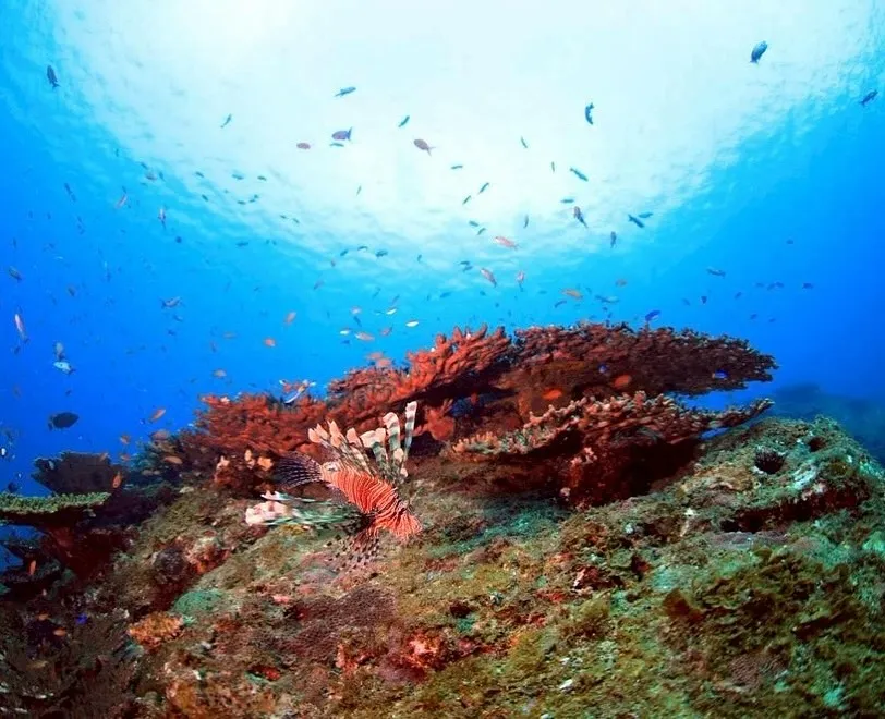 2025.10/17-19鵜来島ツアー