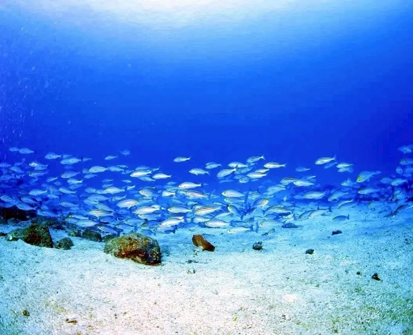 2025.10/17-19鵜来島ツアー