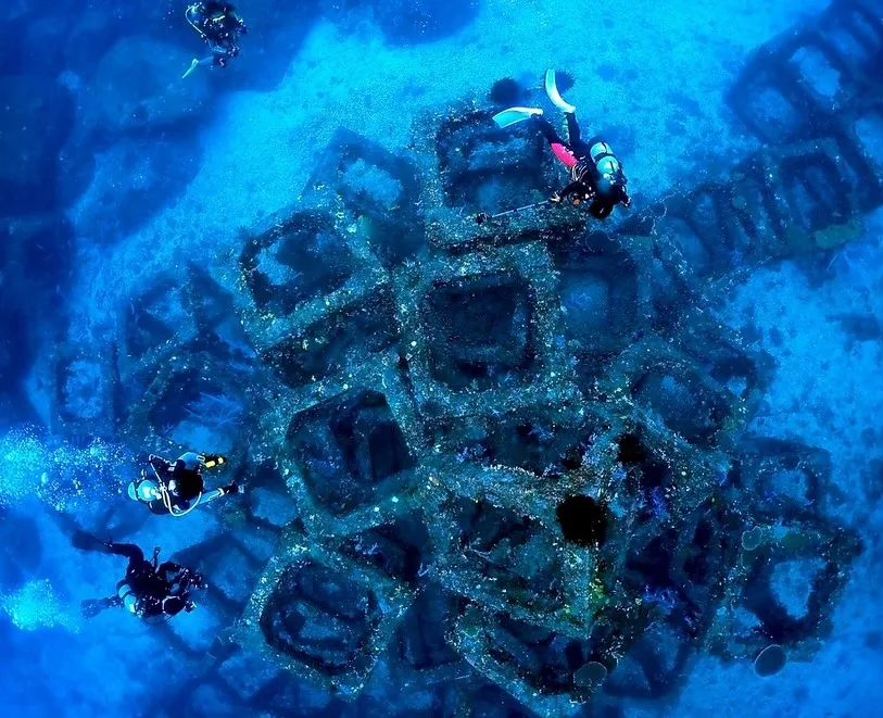 2025.10/17-19鵜来島ツアー