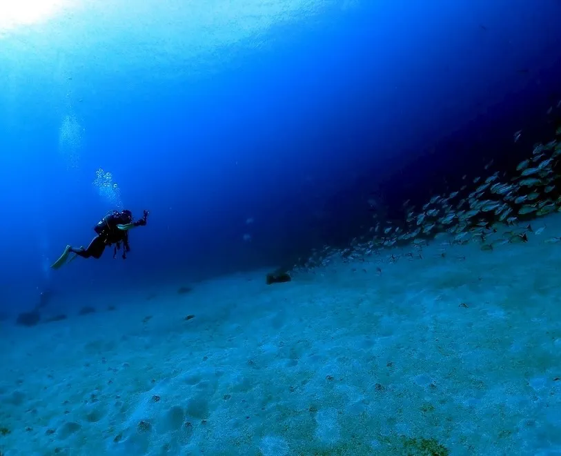 2025.10/17-19鵜来島ツアー