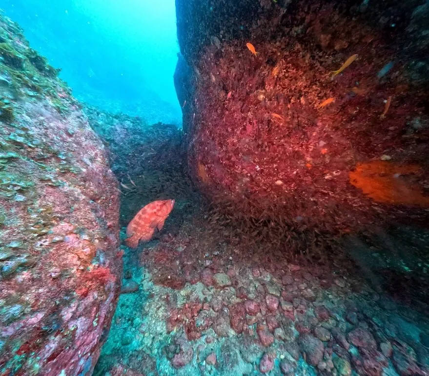 2025.10.23串本ボート