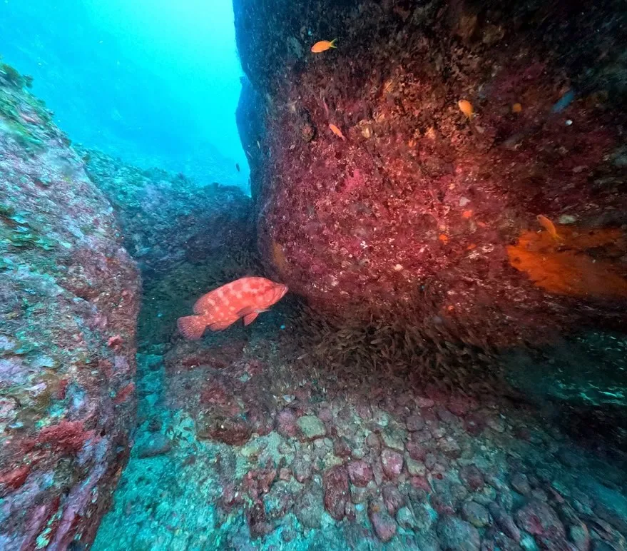 2025.10.23串本ボート