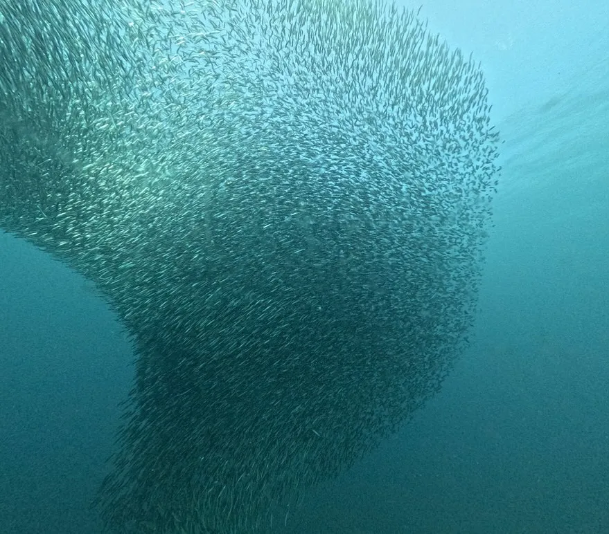 2025.10.23串本ボート