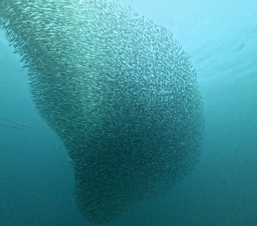 2025.10.23串本ボート