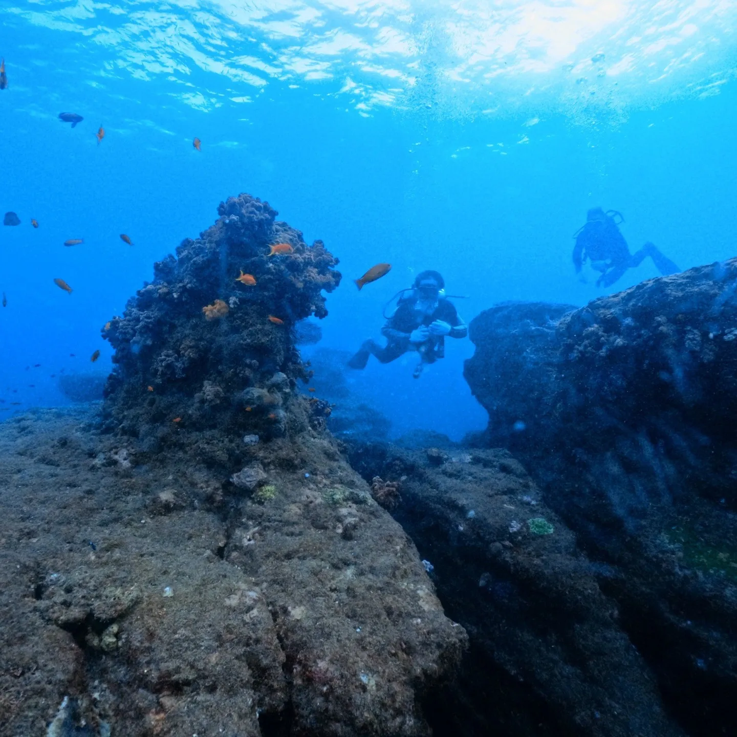 月曜日と火曜日は一泊二日で😊田辺天神崎でのアドバンスコース🏊...