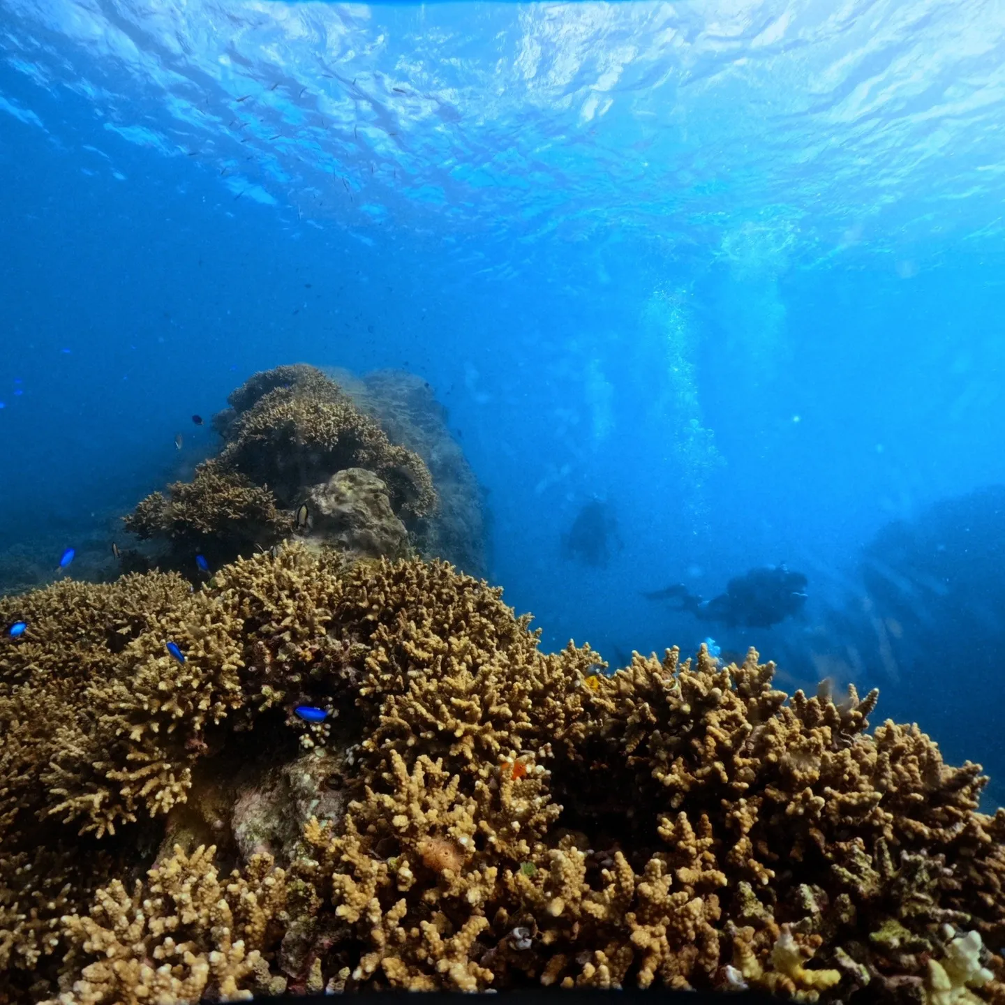 月曜日と火曜日は一泊二日で😊田辺天神崎でのアドバンスコース🏊...